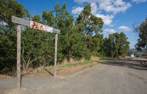 Gravel road at Black Hill reserve