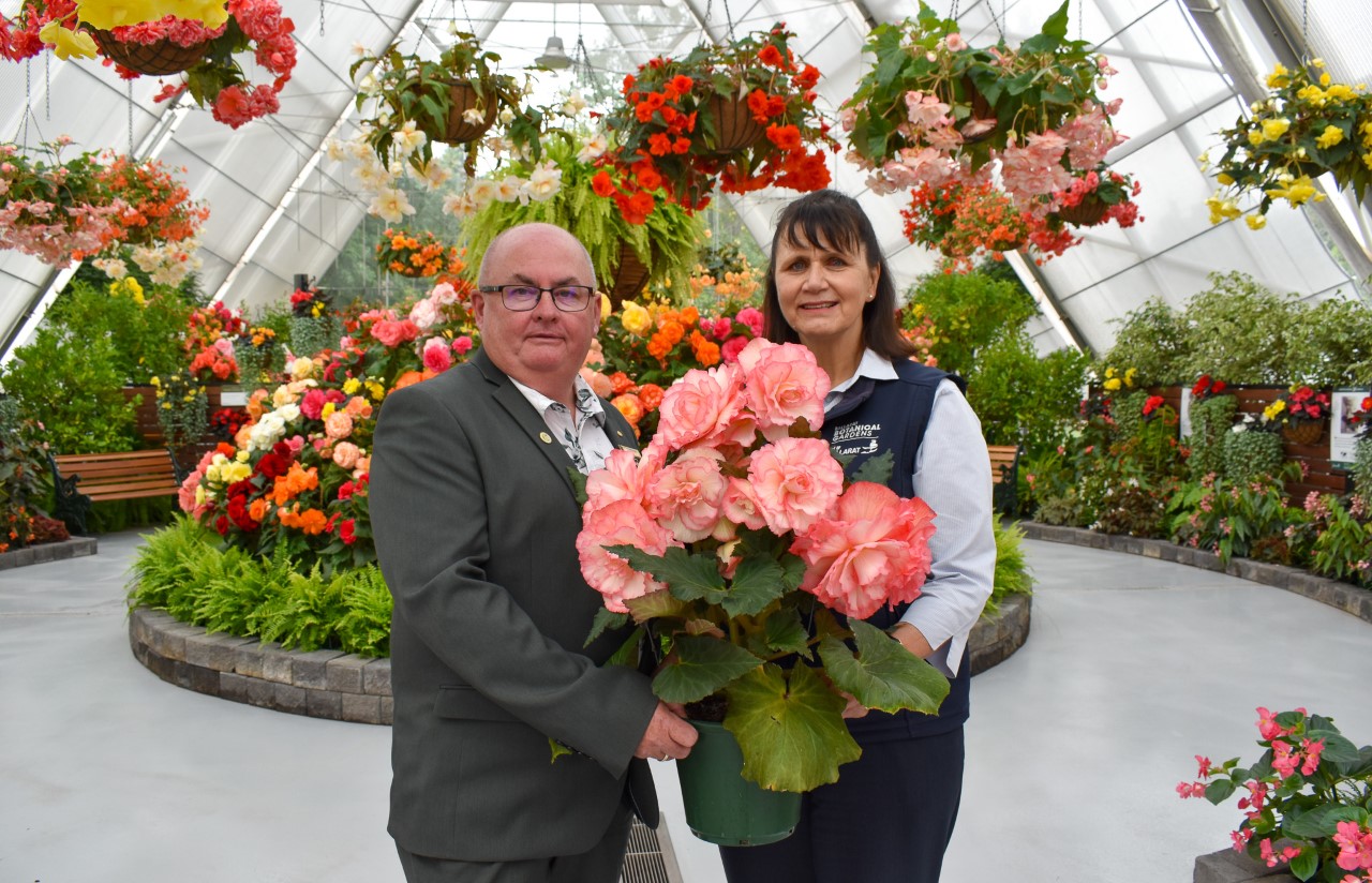 Cr Des Hudson with curator Donna Thomas and some spectacular Begonias.