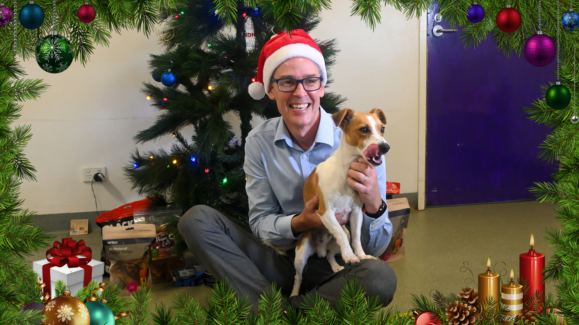 Generic image of Deputy Mayor in front of Christmas tree with dog