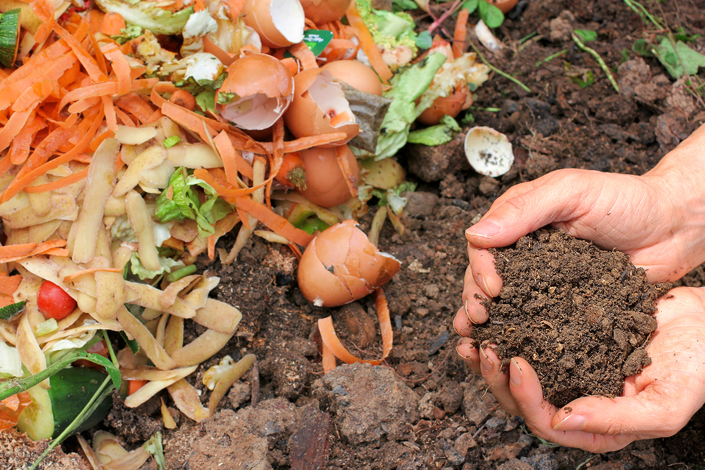 Food waste is transformed into compost