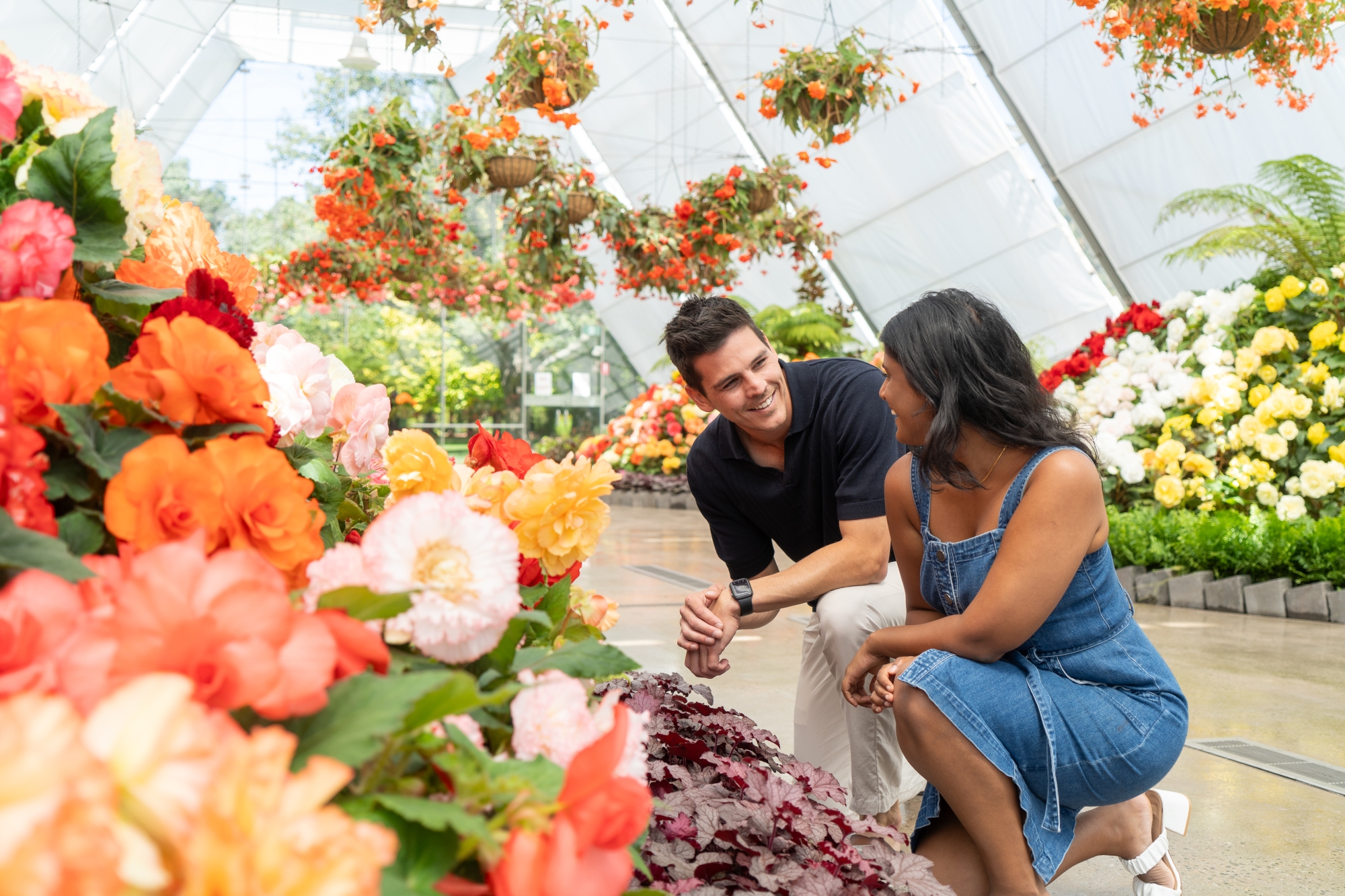 Ballarat Begonia Festival promotional image.