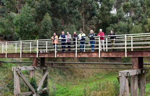 Cr Belinda Coates on Yarrowee footbridge with different environmental group representatives