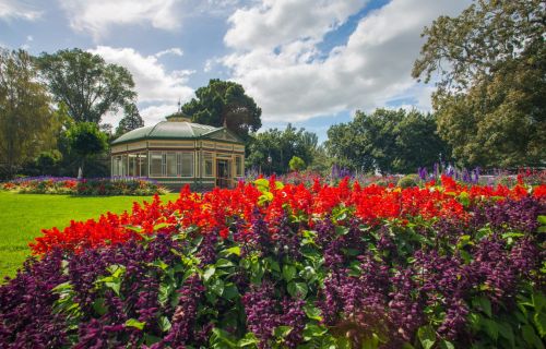 The Ballarat Botanical Gardens conservatory is the background and a garden bed full on red flowers is in the foreground. 