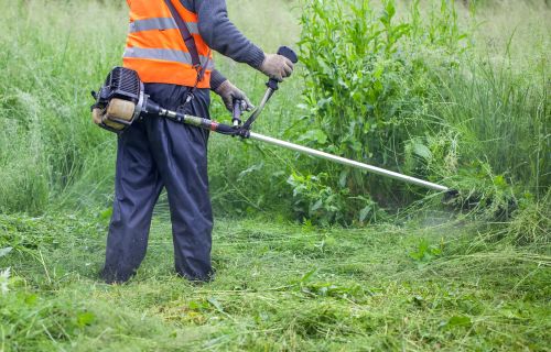 A person in an orange high-visibility vest and blue trousers whipper snips some long grass and weeds.