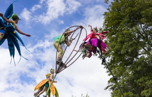 Generic image of aerial peformers SWAY at Begonia Festival