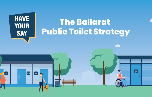 Public Toilet Strategy