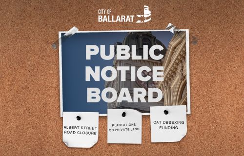 Notice board with Public Notice Board text over an image of Ballarat Town Hall. Three notes underneath with text saying ALBERT STREET ROAD CLOSURE, PLANTATIONS ON PRIVATE LAND, CAT DESEXING FUNDING