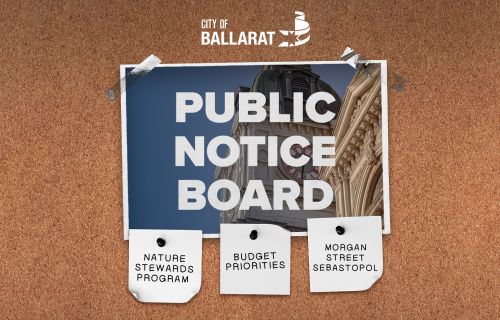 Notice board with Public Notice Board text over an image of Ballarat Town Hall. Three notes underneath with text saying Nature Strewards Program, Budget Priorities, Morgan Street Sebastopol