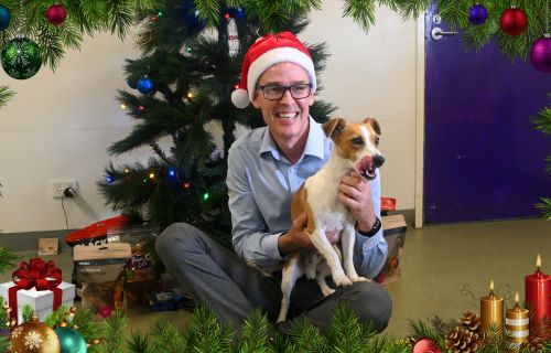 Generic image of Deputy Mayor in front of Christmas tree with dog