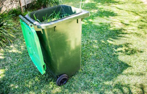 A green waste bin filled with grass clippings