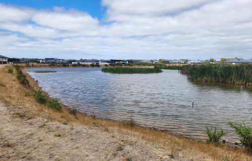 The Cardigan Village retention basin