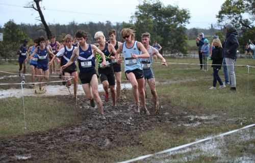 Kids running in cross-country event