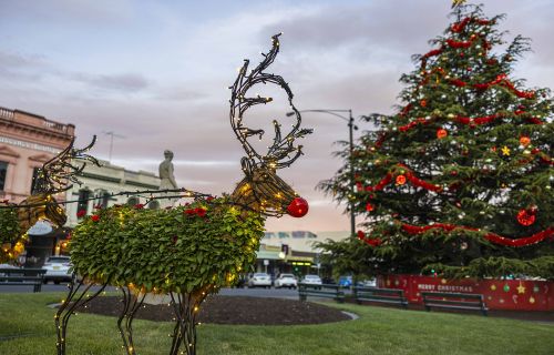 reindeer and tree in sturt street - lit up at dusk