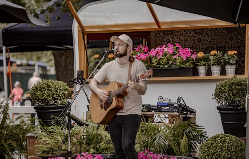 man playing guitar and singing at last years picnic in the park