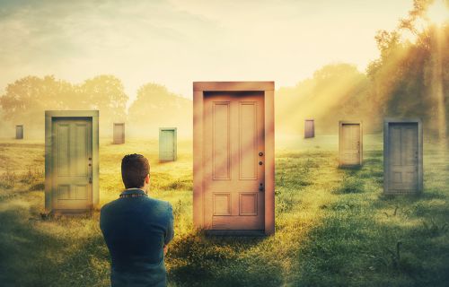 Image of a person looking at doors in a field