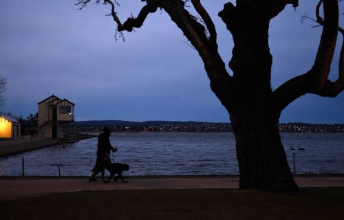 Lake Wendouree in the pre=dawn light with a silhouette of a person walking a dog 
