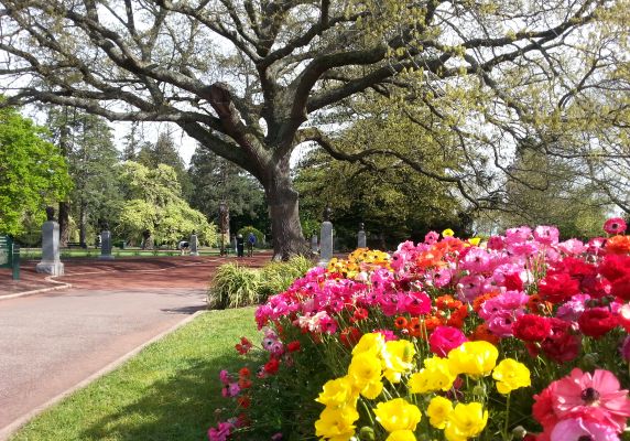 Ballarat Botanical Gardens