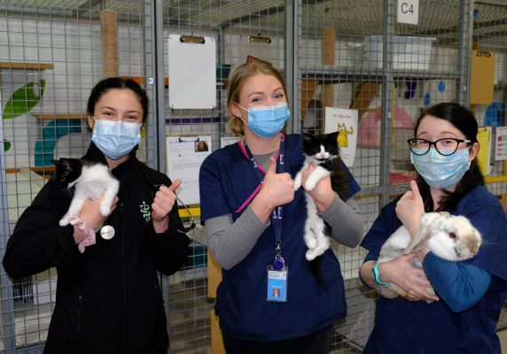 Ballarat awarded Australia’s most ‘Outstanding Council Animal Shelter 2021’  