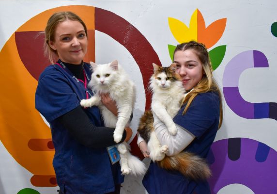 Generic photo of two people holding cats