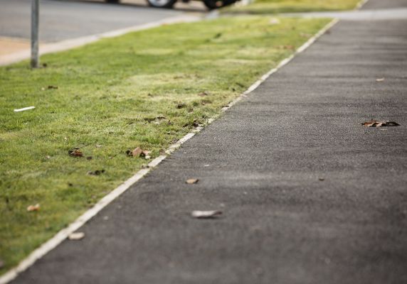 Generic photo footpath and grass