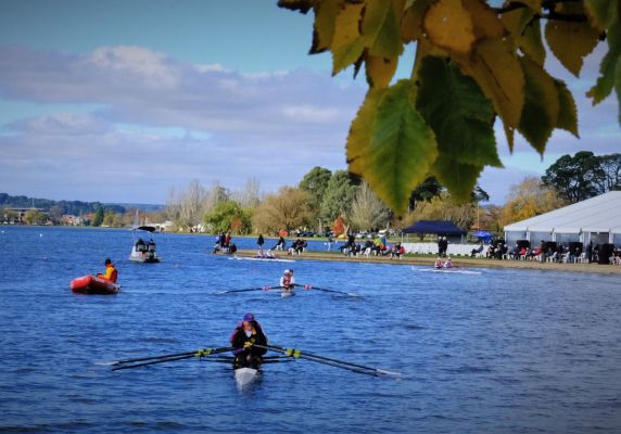 A number of row boats on Lake Wendouree, as well as a small motor boat. In the foreground, there is some green foliage.  