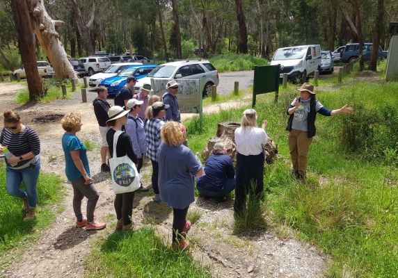 Nature Stewards' participants in the bush