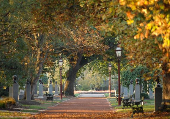 Prime Minister's Avenue in the Ballarat Botanical Gardens.