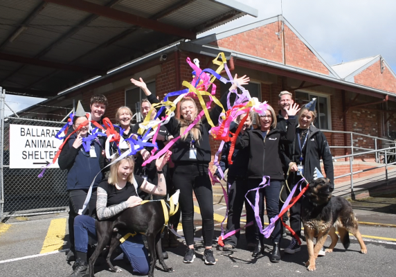 Generic image of the Animal Shelter team celebrating