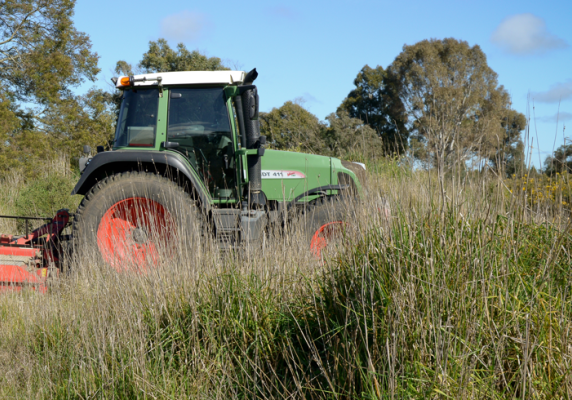 Grass slashing on City of Ballarat land.