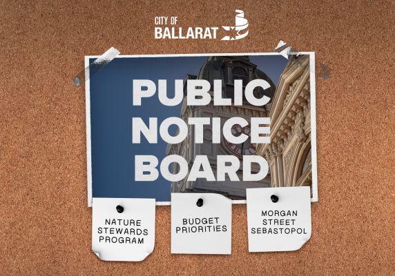 Notice board with Public Notice Board text over an image of Ballarat Town Hall. Three notes underneath with text saying Nature Strewards Program, Budget Priorities, Morgan Street Sebastopol