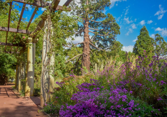 Ballarat Botanical Gardens