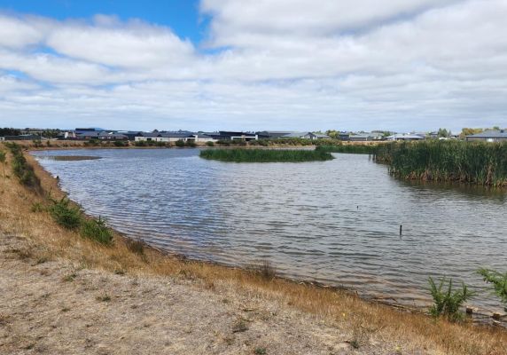 The Cardigan Village retention basin