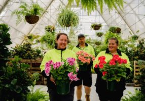 Three people holding pots of begonias walk through a conservatory. 