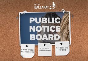 Notice board with Public Notice Board text over an image of Ballarat Town Hall. Three notes underneath with text saying ALBERT STREET ROAD CLOSURE, PLANTATIONS ON PRIVATE LAND, CAT DESEXING FUNDING