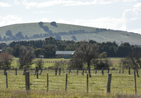 Miners Rest landscape