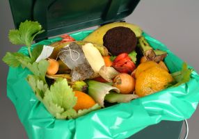 Image of a small bin filled with food waste to be taken to a compost bin