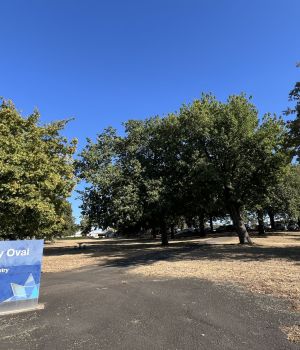 The site of the future Intercultural Garden.