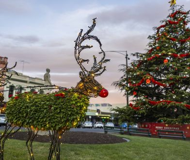 reindeer and tree in sturt street - lit up at dusk